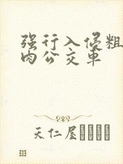 强行入侵粗暴h肉公交车