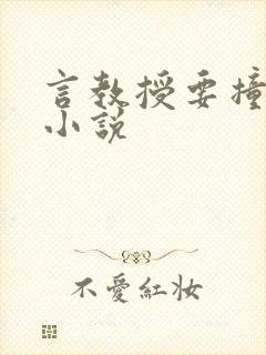 言教授要撞坏了小说