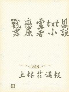 战恋雪txt凤舞原著小说