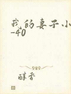 我的妻子小谨1-40