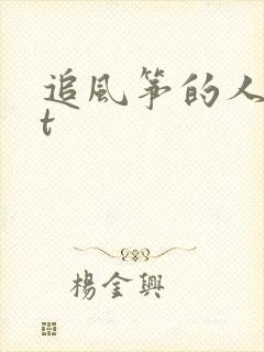 追风筝的人txt