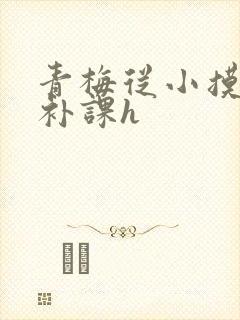 青梅从小摸到大补课h