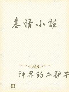 基情小说