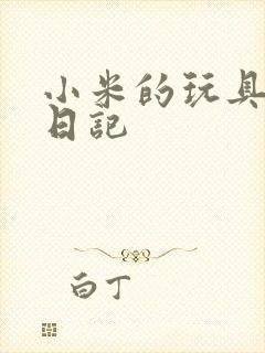 小米的玩具羞辱日记