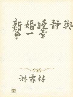 新婚晓静与翁公笫一章