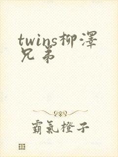 twins柳泽兄弟