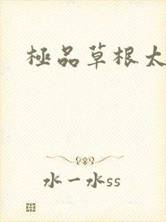 极品草根太子