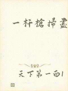 一杆枪扫尽全家