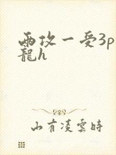 两攻一受3p双龙h