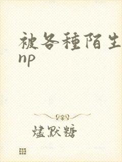 被各种陌生人 np