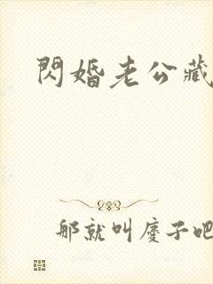 闪婚老公藏不住