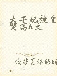 太子妃被皇上c哭高h文