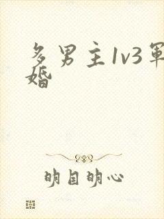 多男主1v3军婚
