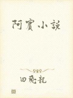 阿宾小说