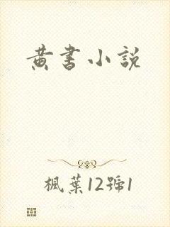 黄书小说