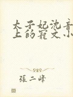 太子妃沈音和皇上的宠文小说