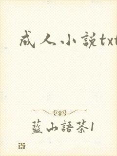 成人小说txt