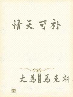 情天可补