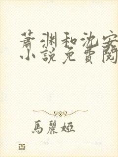 萧渊和沈安安的小说免费阅读