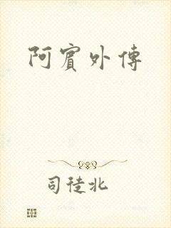 阿宾外传