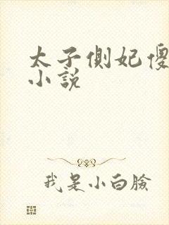 太子侧妃傻乎乎小说