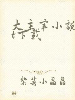 大主宰小说txt下载