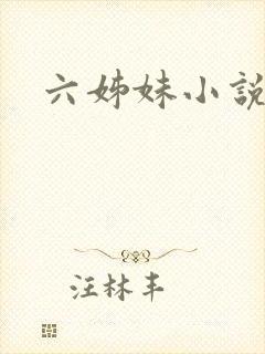 六姊妹小说
