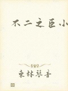 不二之臣小说