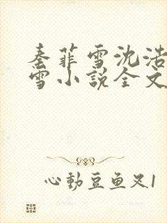 秦菲雪沈浩秦菲雪小说全文免费阅读求书