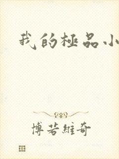 我的极品小姨