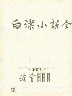白洁小说全文