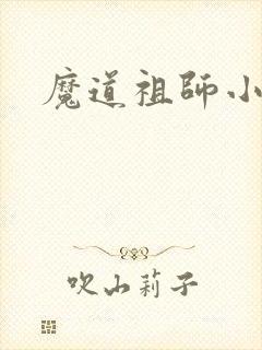 魔道祖师小说
