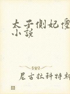 太子侧妃傻乎乎小说