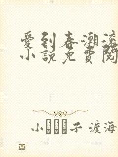 爱到春潮滚滚来小说免费阅读