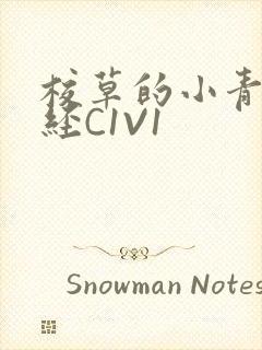 校草的小青梅不经C1V1