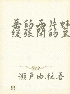 岳的两片蚌肉缓缓张开的豆瓣评分