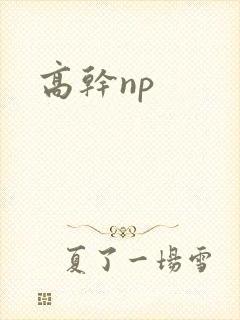 高干np