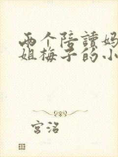 两个陪读妈妈赵姐梅子的小说