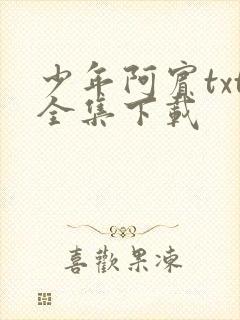 少年阿宾txt全集下载