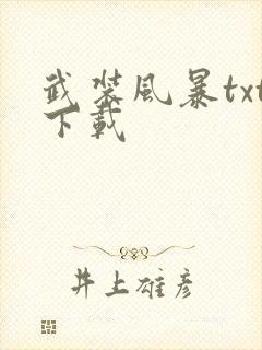 武装风暴txt下载