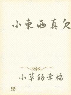 小东西真欠弄