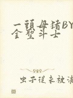 一头母猪BY黄金圣斗士