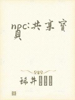 npc:共享宝贝
