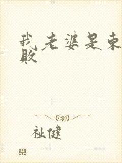 我老婆是东方不败