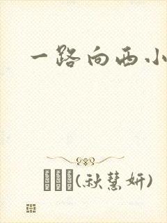 一路向西小说