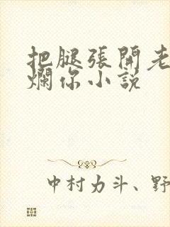 把腿张开老子臊烂你小说