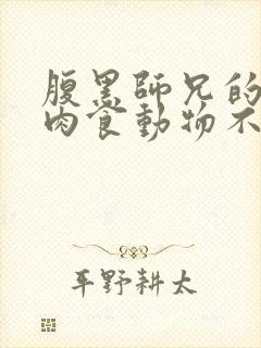 腹黑师兄的日常肉食动物不食草