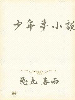 少年梦小说