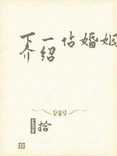 下一站婚姻剧情介绍