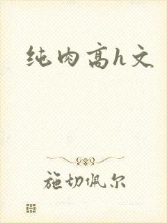 纯肉高h文